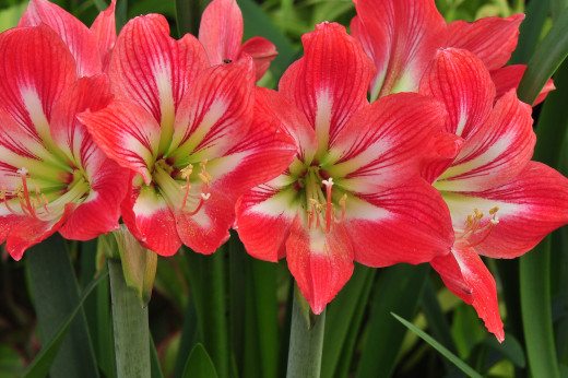 792041 (a): :2048x1360